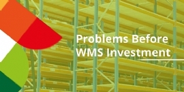Problems Before WMS Investment